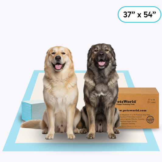 PawGuard™ - XXL Training Pads