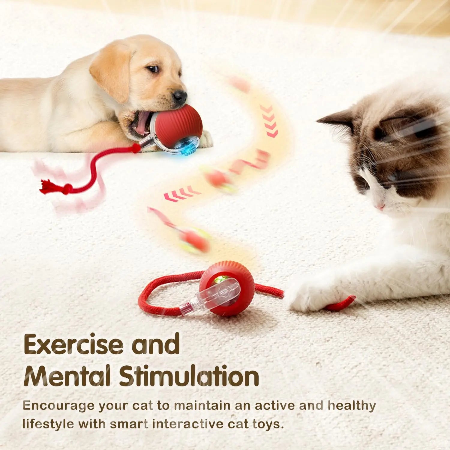 Interactive Cat Smart Ball Toy